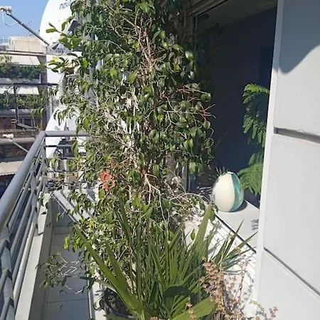 Georgia's House Apartment